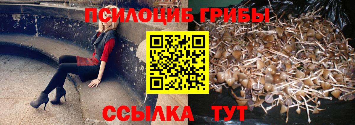 Гулькевичи  Галлюциногенные грибы мицелий  Вход с VPN 
